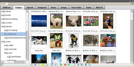 adobe_folders1b