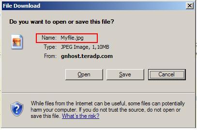 023.file download dlg with name