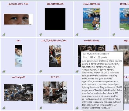 imagesgrid_zoom60