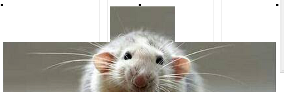 imgcutout3