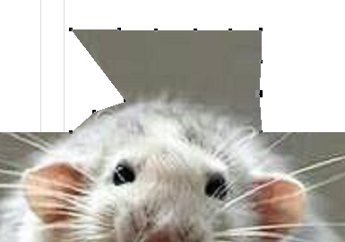 imgcutout4