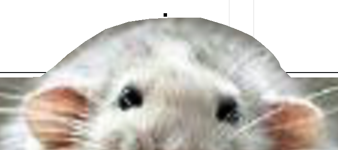 imgcutout5