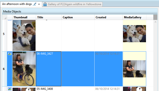 mg_splitter0