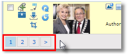 paginatedresults