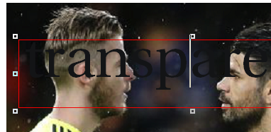 transptext2