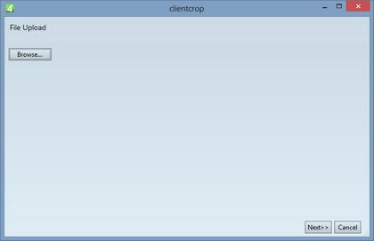 Click to toggle graphic size